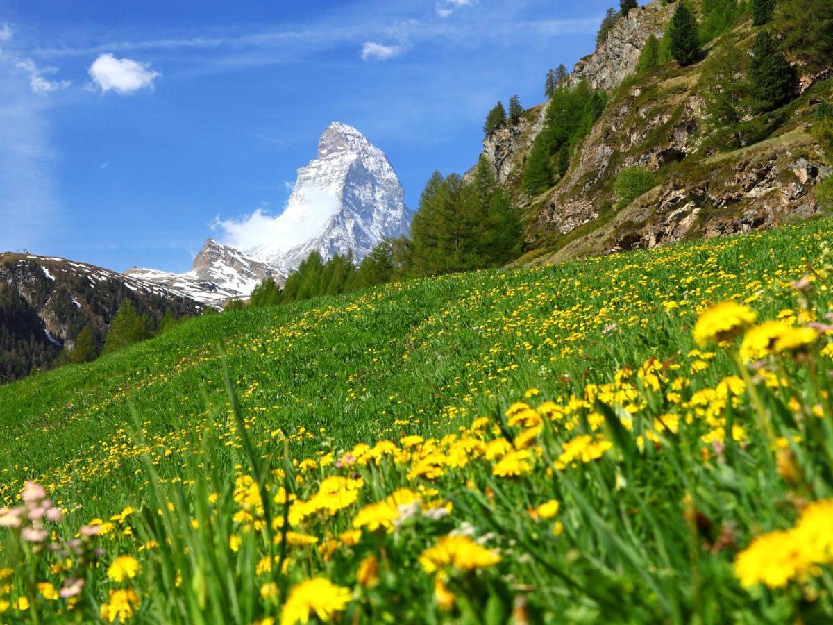 Apartment Hubertus-1 By Interhome Zermatt Ngoại thất bức ảnh